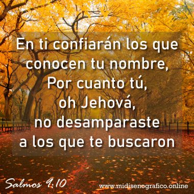 Salmos 9:10 Salmos 9:10 En ti confiarán los que conocen tu nombre, Por cuanto tú, oh Jehová, no desamparaste a los que te buscaron.