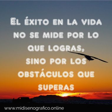 El éxito en la vida no se mide por lo que logras, sino por los obstáculos que superas